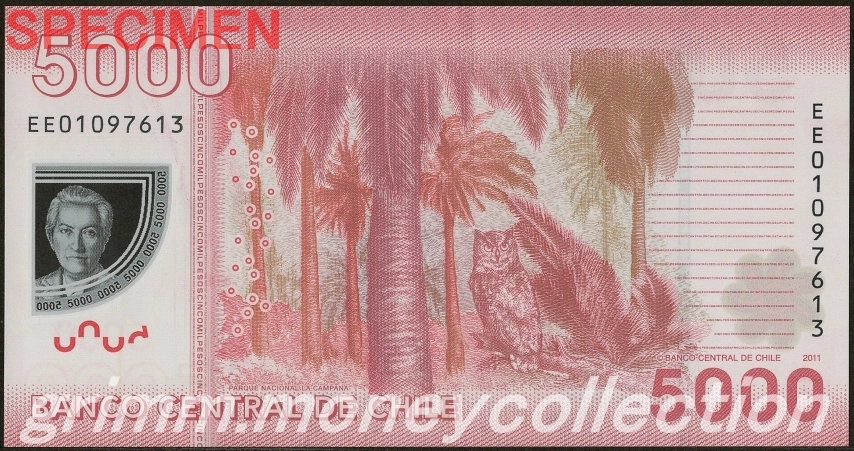 チリ 5000ペソ