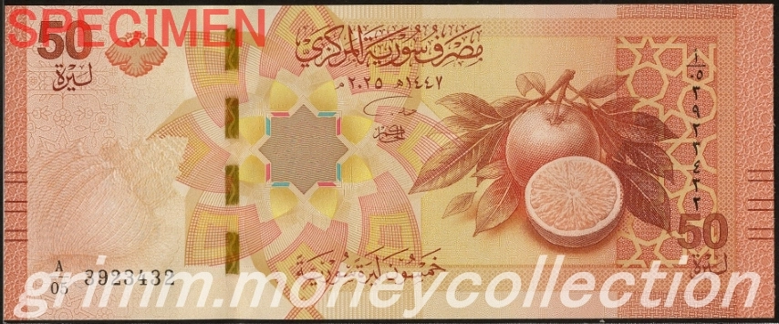 シリア 50ポンド 表