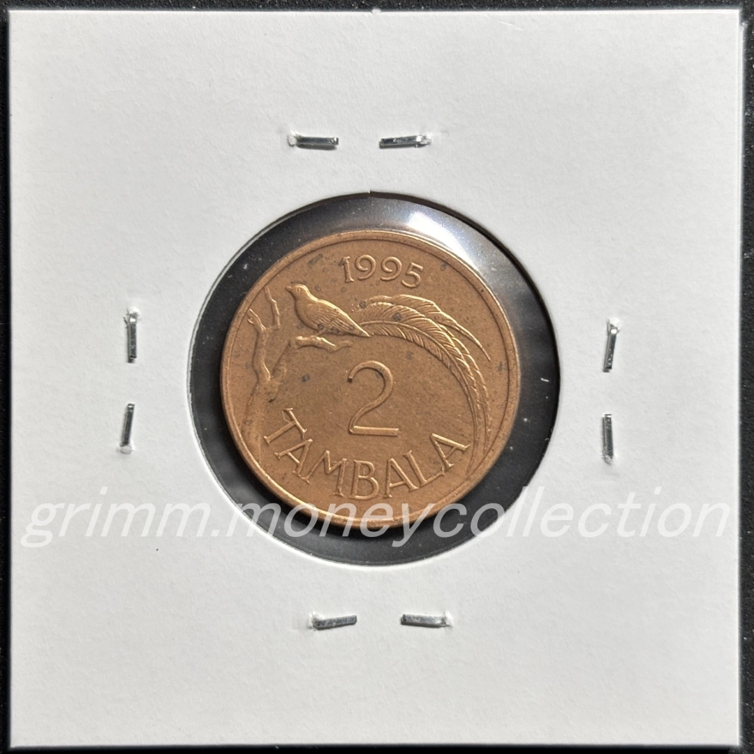 マラウイ 2タンバラ 裏