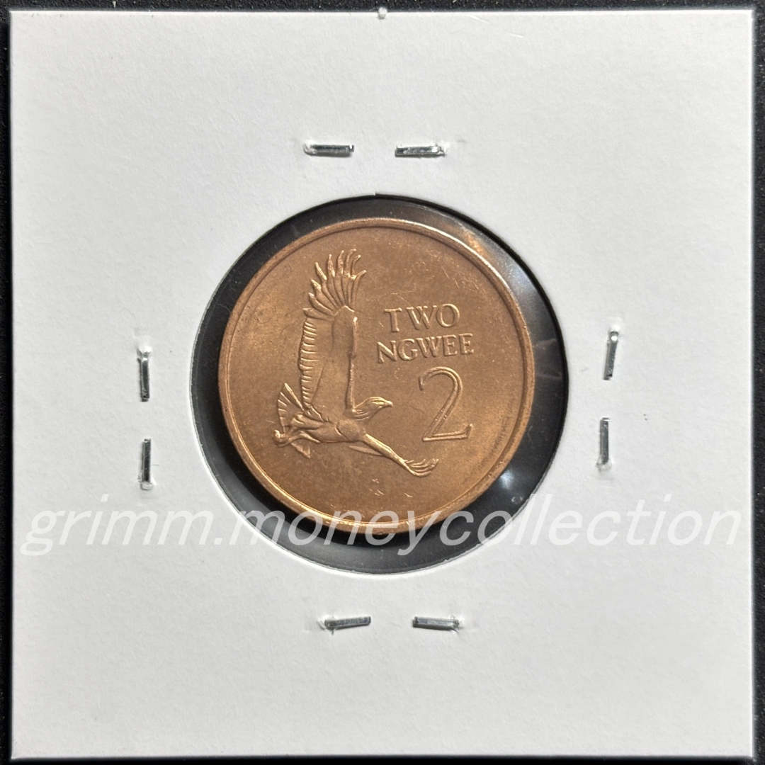 ザンビア 2ングェー 裏