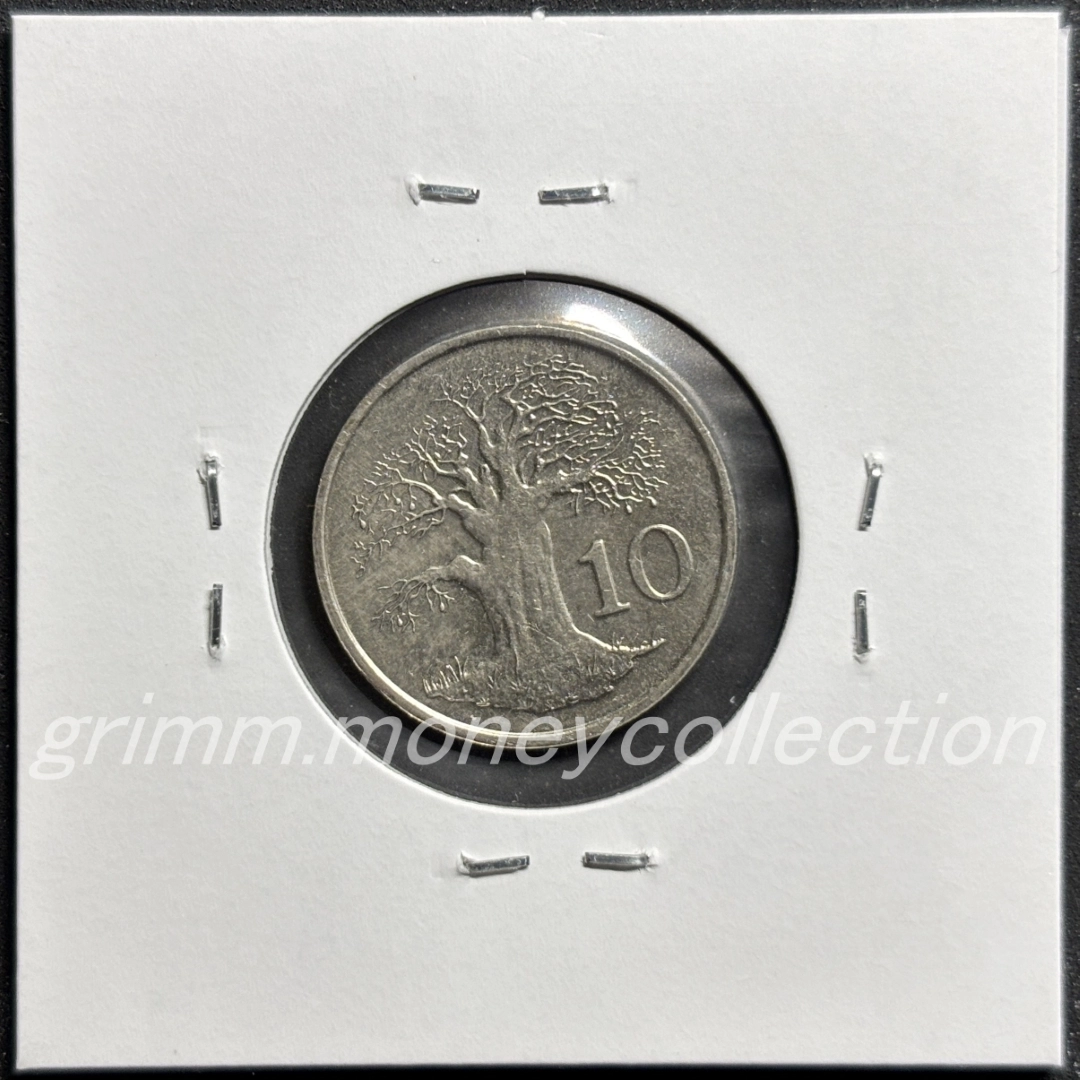 ジンバブエ 10セント 裏