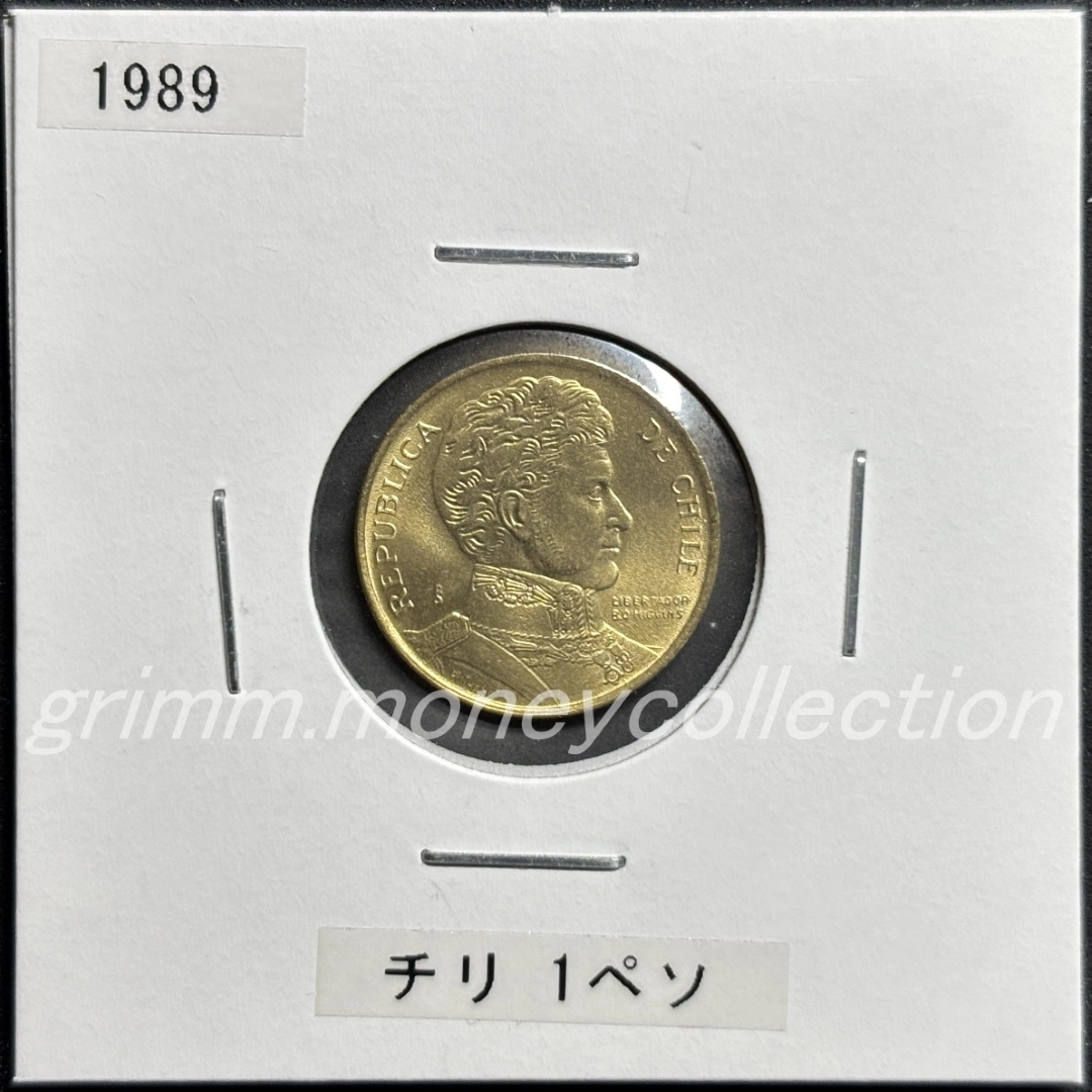 チリ km216.2 1988～1992 1ペソ 表