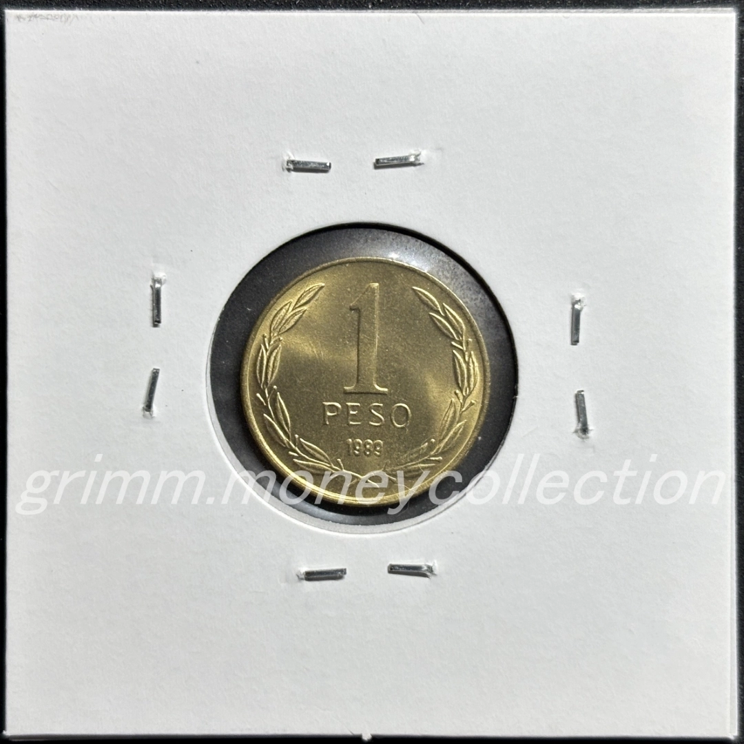 チリ km216.2 1988～1992 1ペソ 裏