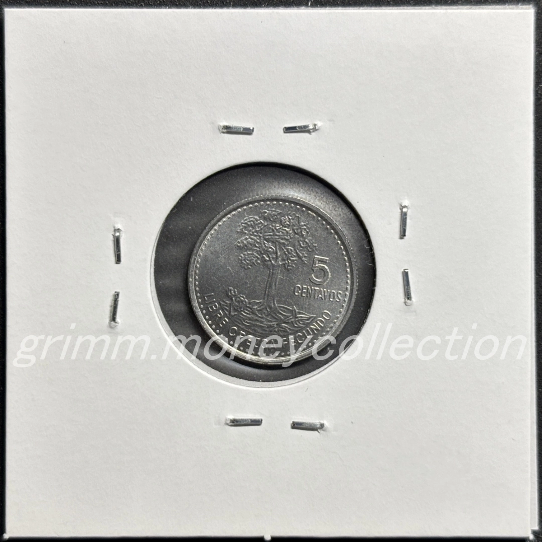 グアテマラ km276.7 2009～2018 5センターボ 裏