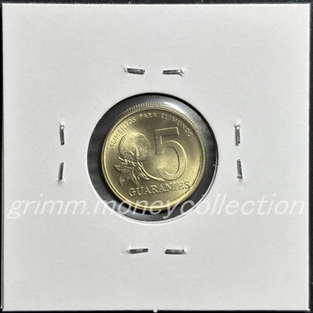 パラグアイ km166a 1992 5グアラニー 裏