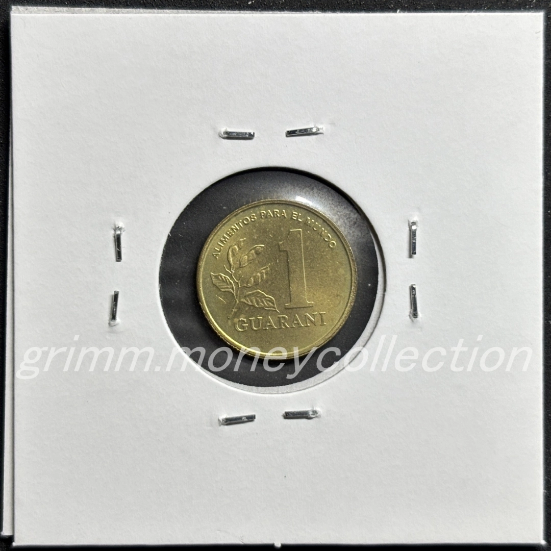 パラグアイ km192 1993 1グアラニー 裏