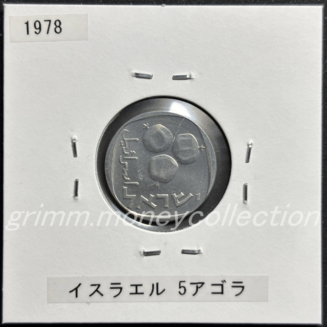 イスラエル 5アゴラ