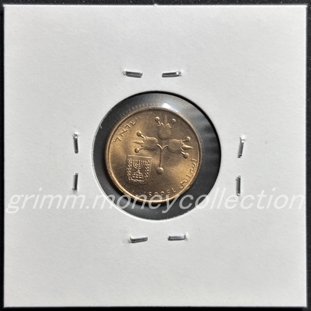 イスラエル 10新アゴラ