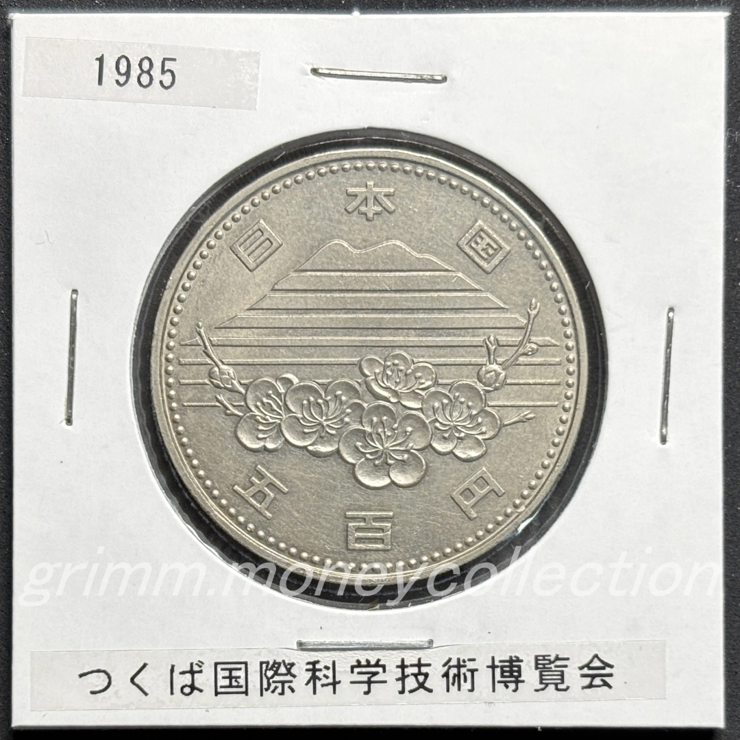 つくば国際科学技術博覧会記念 500円