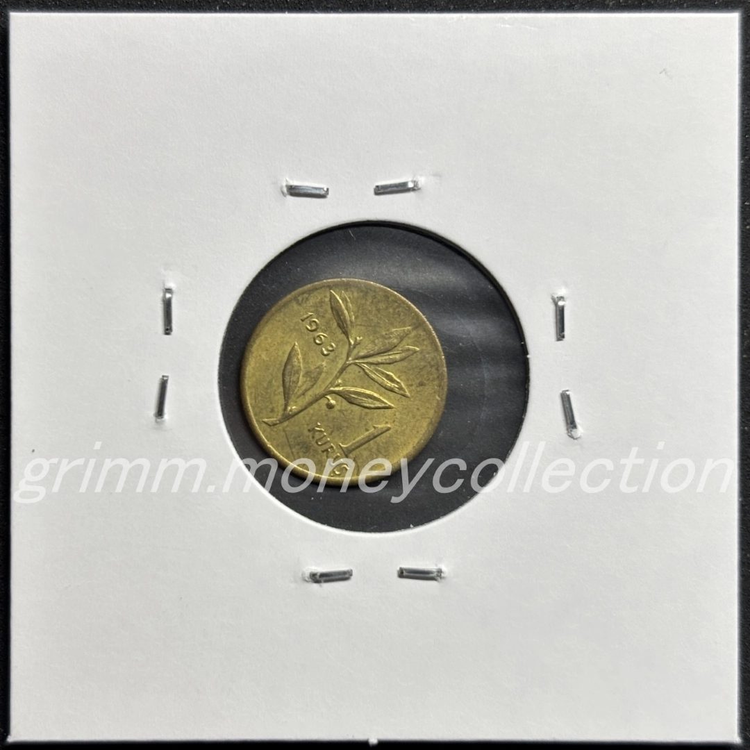 トルコ 1クルシュ