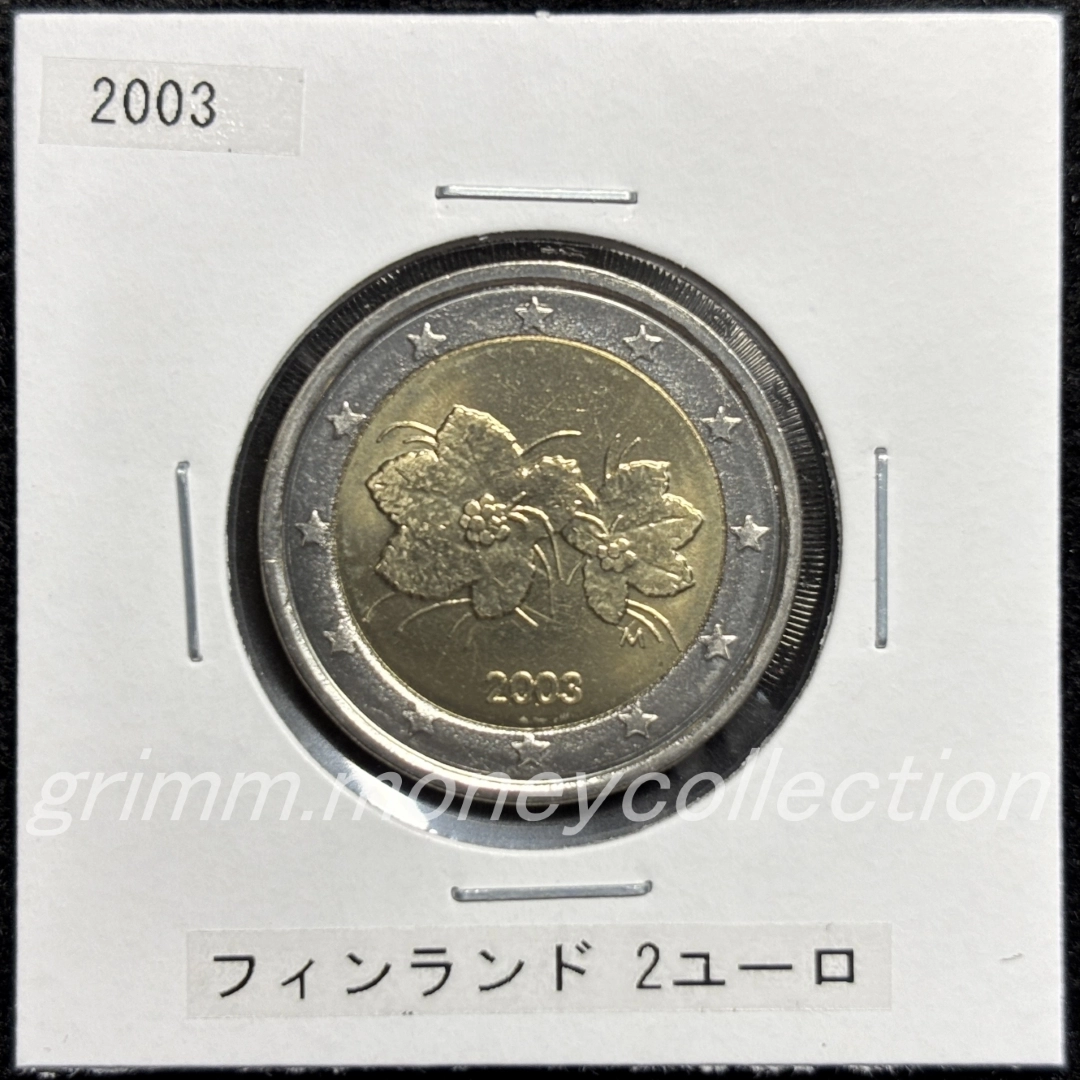 フィンランド km105 1999～2006 2ユーロ 表