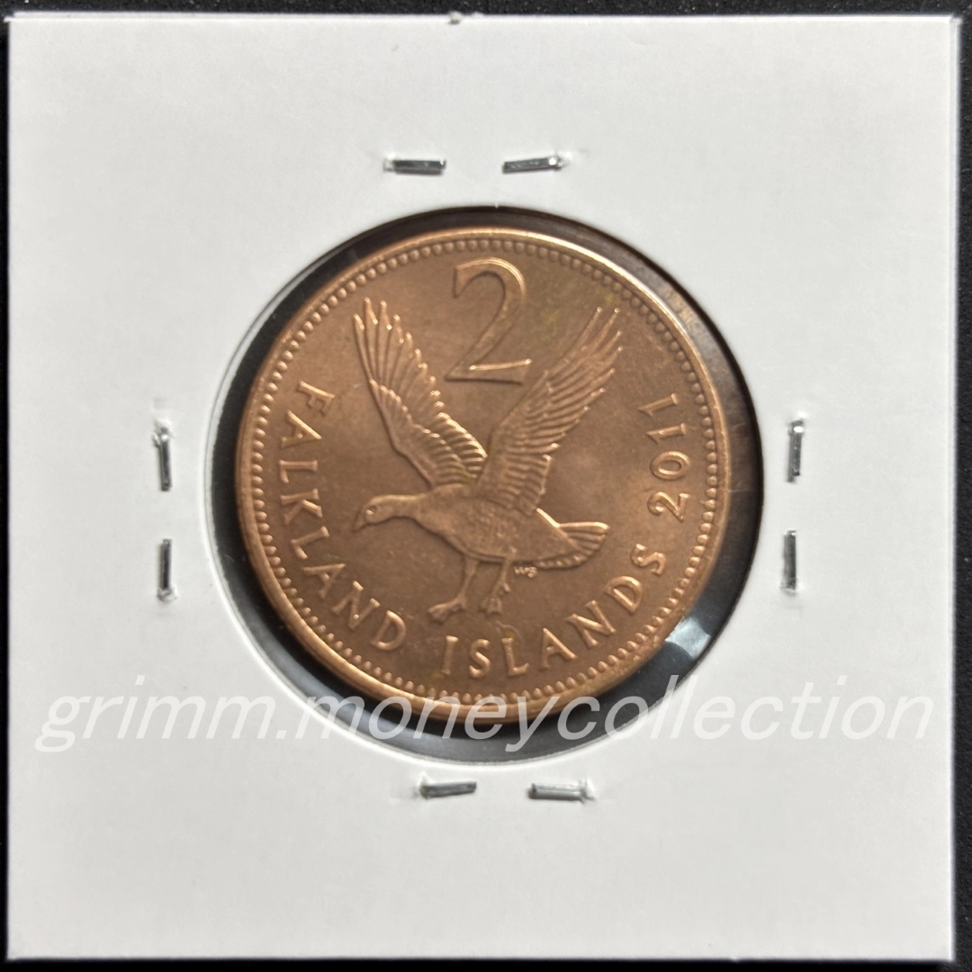 フォークランド諸島 km131 2004～2011 2ペンス 裏