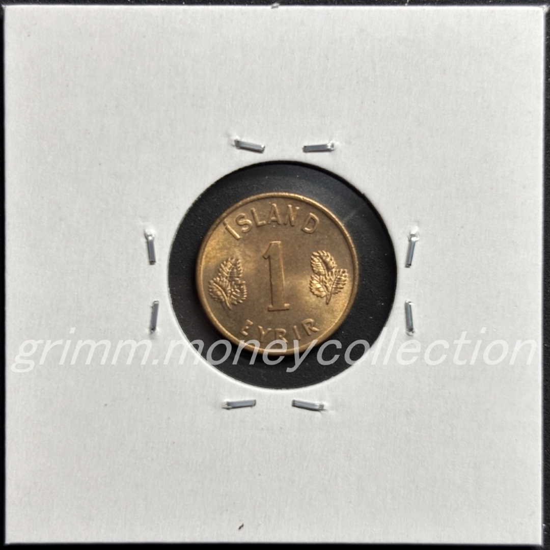 アイスランド 1エイリール