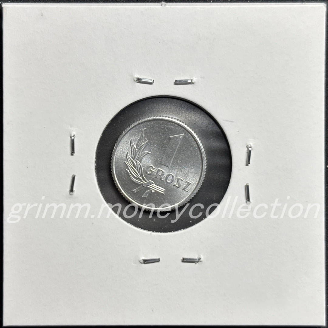 ポーランド 1グロシュ 裏