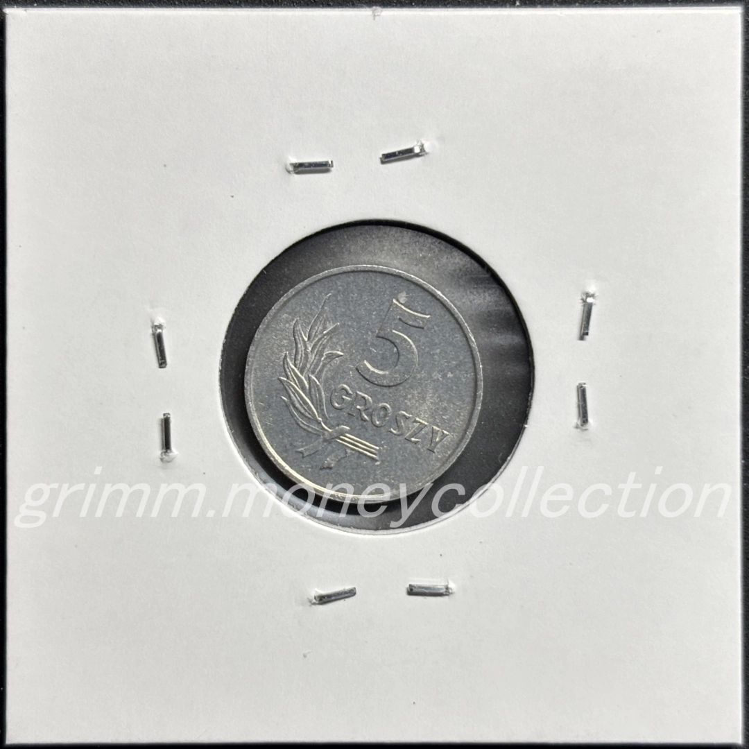 ポーランド 5グロシュ 裏